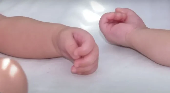bebe