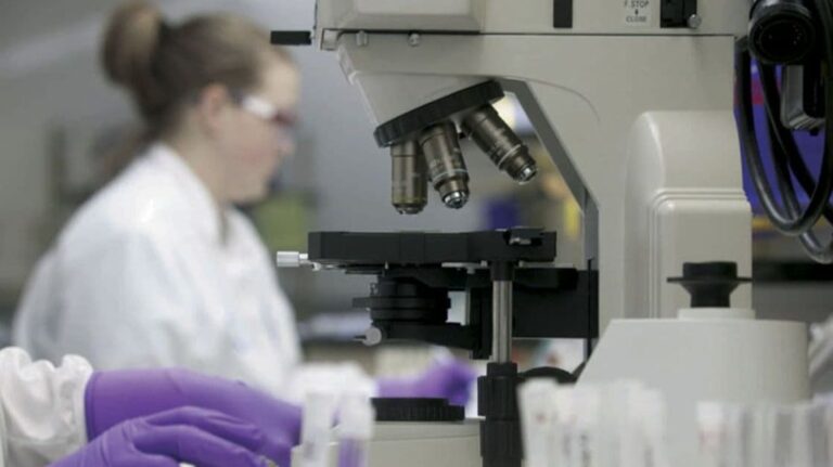 Prvi smrtni slučaj u svijetu od podsoja ptičije gripe zabilježen u Kini