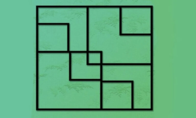 Dobro pogledajte sliku: Koliko kvadrata vidite?