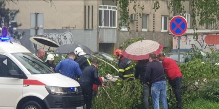 Epilog nevremena u Tuzli: Žena na koju je palo drvo u teškom stanju, priključena na respirator