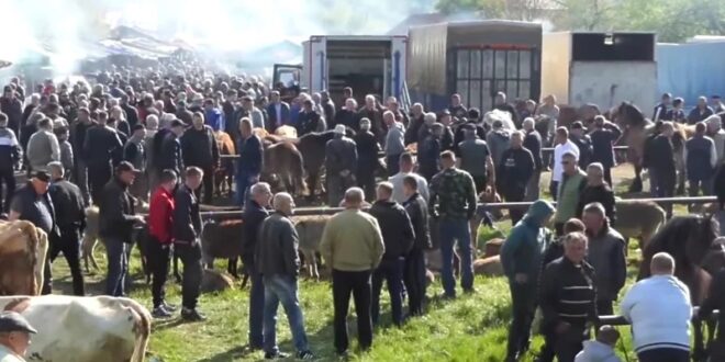 Vašar u Turbetu privukao hiljade ljudi: Za samo šest minuta prodao 11 ovaca