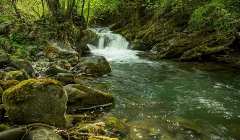 Divna vijest: Neretvica je spašena!