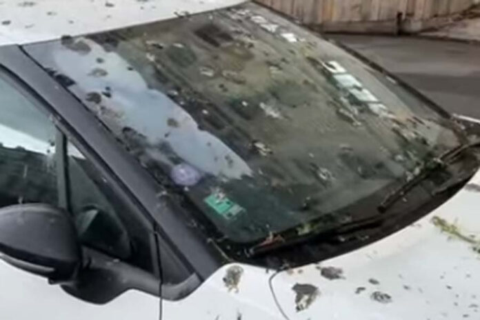 Zračno ‘bombardiranje’ može nanijeti štetu veću nego što mislite: Zašto trebate što prije očistiti ptičiji izmet sa automobila