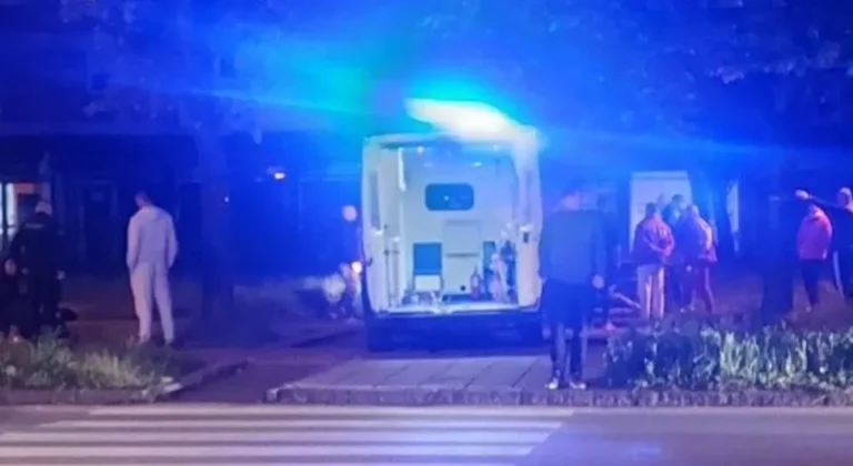 UŽAS U BIH: Pas odgrizao dio noge ženi