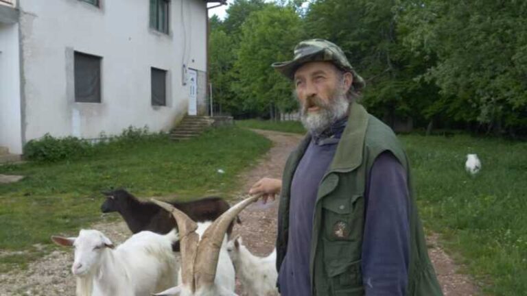 Pastir poliglota iz BiH: Govori pet jezika, traži ženu za brak