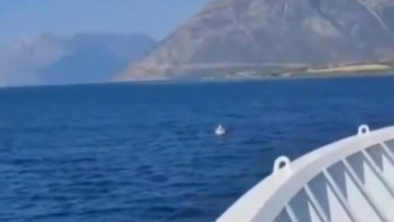 Dijete (2) struja odnijela dva kiloemtra od obale: Roditelji zanijemili, čovjek na skuteru vidio samo tačku