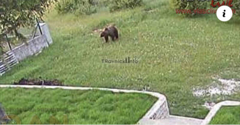 Upozorenje za sve posjetioce planine Vlašić: Medvjed došao do vikendice