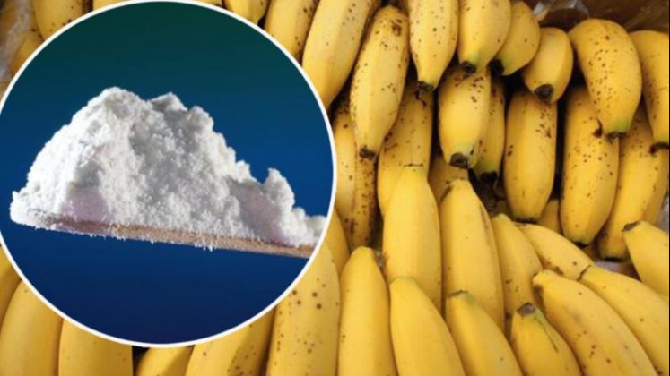Oglasila se SIPA o pronađenom kokainu u Širokom Brijegu: Oduzeli 124 kilograma!