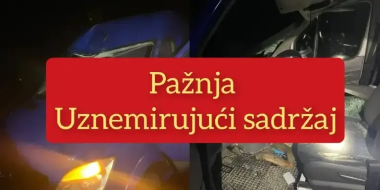 Teška i nesvakidašnja saobraćajna nesreća u Hrvatskoj: Jelen mu proletio kroz šajbu u vozilo!