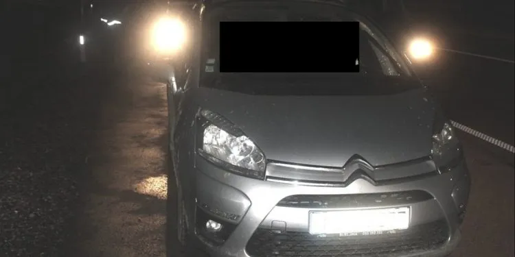 Vozač iz Srbije u “Citroenu C4” bh. registarskih oznaka u Sloveniji prevozio 17 Turskih državljana