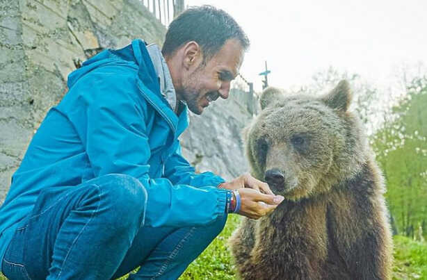 Jedinstveno iskustvo u BiH: Robert Dacešin proveo dan s medvjedima i vukom, jeli su mu iz ruke