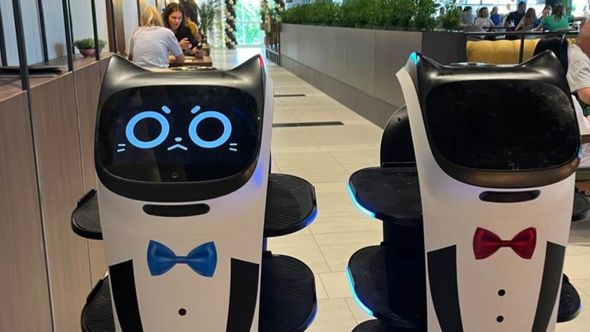 Prvi roboti konobari u BiH poslužuju goste u Derventi