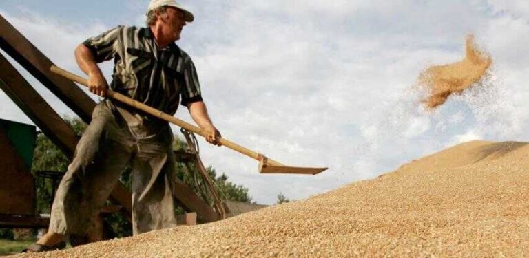 Ukrajinsko žito preplavljuje i silose u BiH, sve je više sumnje u njegovu kvalitetu