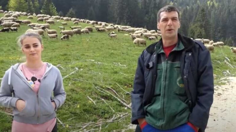 Hasan i njegova kćerka Azemina brinu o 500 ovaca: Njene riječi će vas oduševiti
