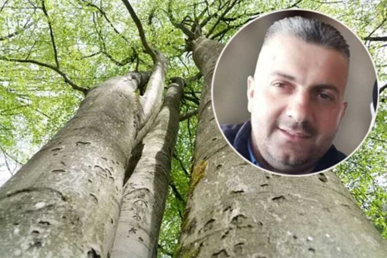 Detalji pogibije šumara: Bukva usmrtila oca dvoje djece