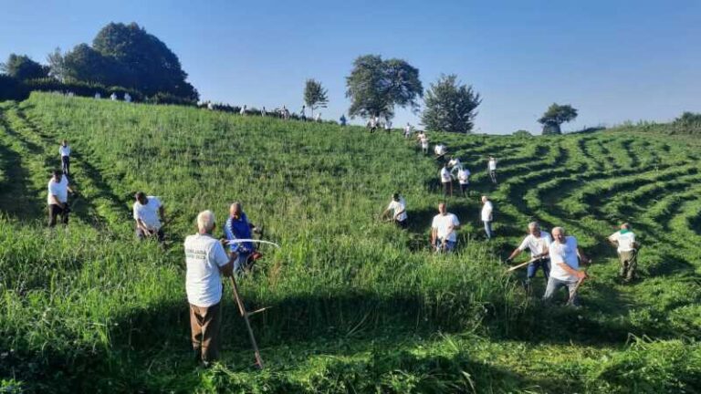 U srednjovjekovnom gradu Sokolu održana “Kosijada 2023”: Za tri sata pokosili parcelu od 16 dunuma