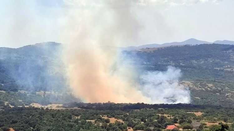 Požar u selu: Vatrogasci i mještani odbijaju vatru od kuća