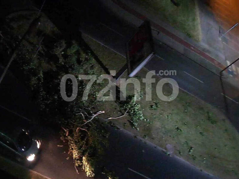 Nevrijeme u Zenici: Vjetar oborio drvo, otežan saobraćaj (VIDEO)