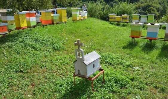 Ljudi se čudom čude: Napravio crkvu za pčele