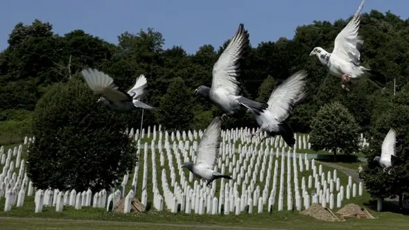 Memorijalni let golubova povodom 28. godišnjice genocida