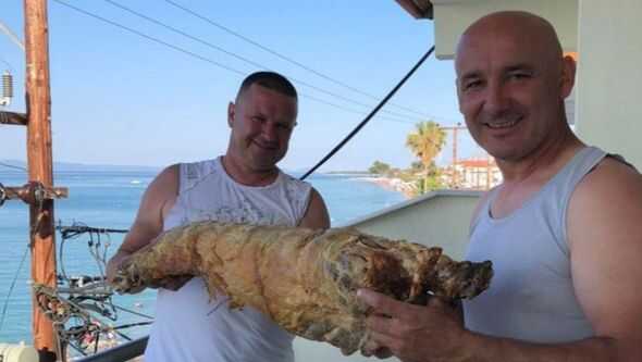 Srbijanac krenuo u Grčku na more i ponio čitavo janjeće pečenje: “Paradajz turista, viši nivo”