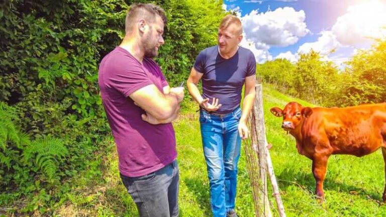 Hamid Babanović: “Bošnjo će ti oprostit’ sve, al’ uspjeh nikad!” (VIDEO)