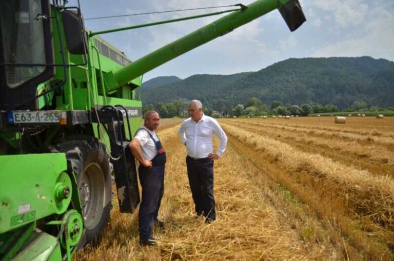 Marić: Loša klima prepolovila urod pšenice
