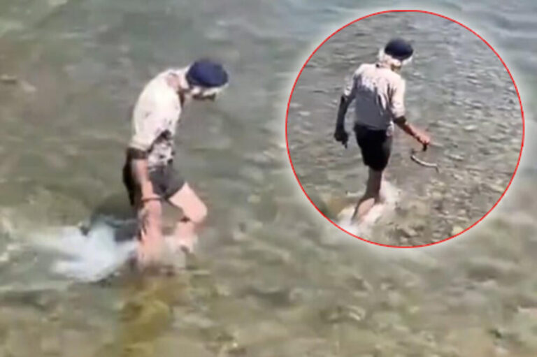 ŠOKANTAN SNIMAK IZ ZENICE! Muškarac ušao u rijeku i HVATA ZMIJE golim rukama?! LJUDI GLEDAJU I NE VERUJU ŠTA RADI (VIDEO)