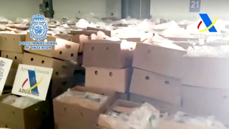 Rekordna zapljena kokaina: Oduzeto skoro 10 tona droge