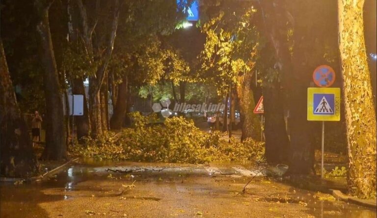 HAOS U BIH: Jak vjetar lomi grane i stabla