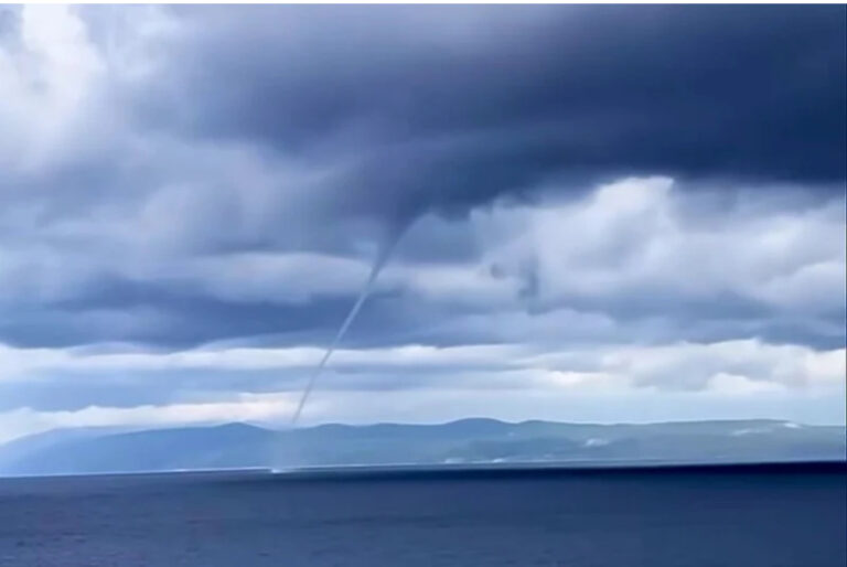 Podgora: U Jadranskom moru zabilježen prizor koji se ne viđa često