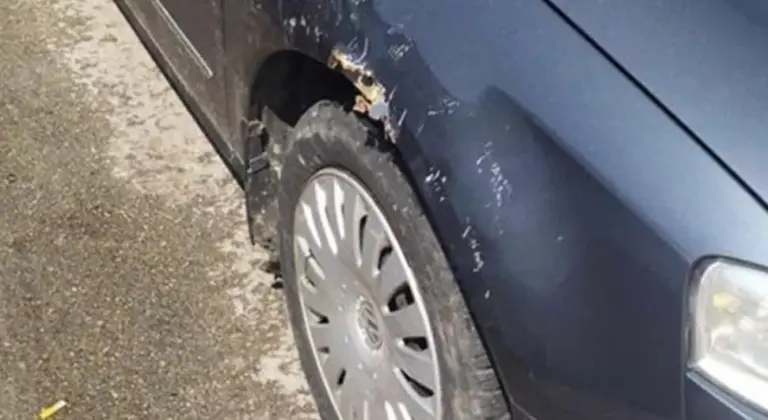 I OVO JE BIH: Pitbul oštetio pasat, pričinjena veća materijalna šteta