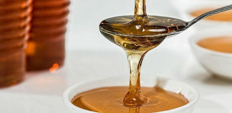 Ako padne kiša, prinos meda bit će bolji nego 2010. godine