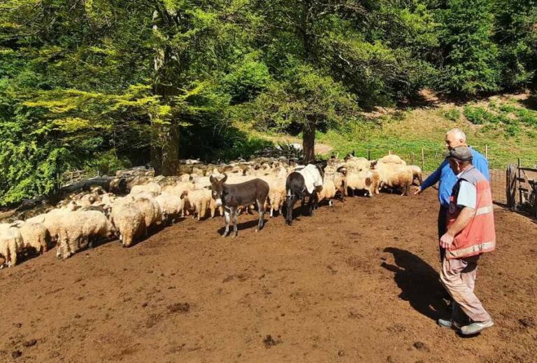 Ministar Marić posjetio “zaboravljene” ovčare u Pojskama kod Zenice