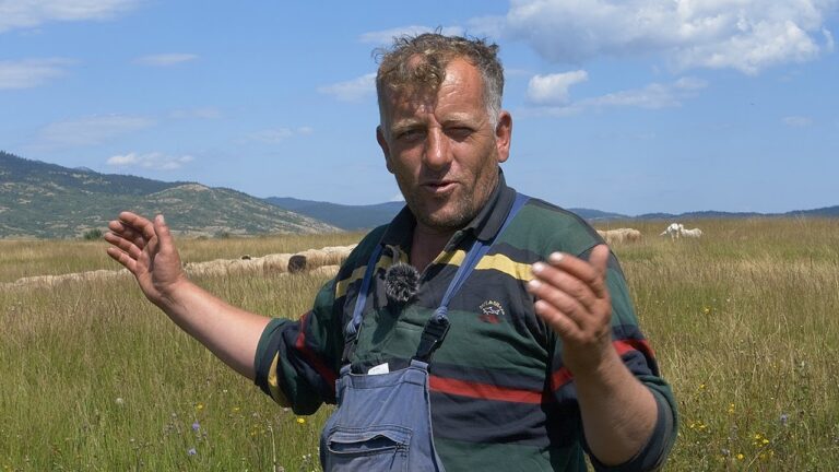 Više volim žene nego ovce, tražim četvrtu za život (VIDEO)