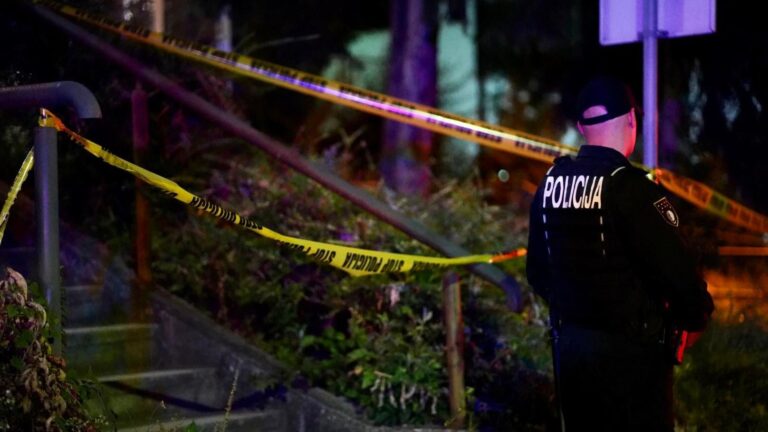 Veselje moglo završiti kobno: Došli u goste, pretukli domaćina pa on pucao iz pištolja na njih