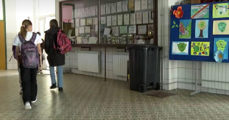 Profesor iz BiH tvrdi da je nezakonito da učenici dežuraju u školi
