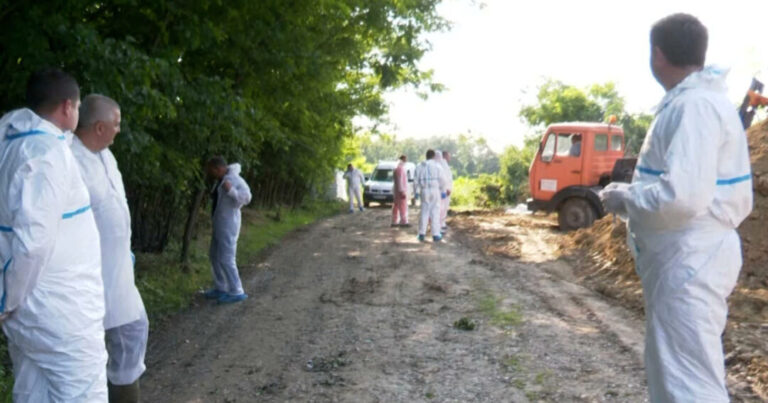 U BiH zbog afričke svinjske kuge eutanazirano preko 25 hiljada životinja, najviše u Bijeljini