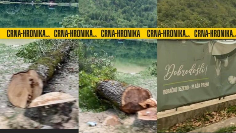 Gradonačelnik Konjic (SDA) odobrio sječu dugogodišnja stabla na plaži Prenj?