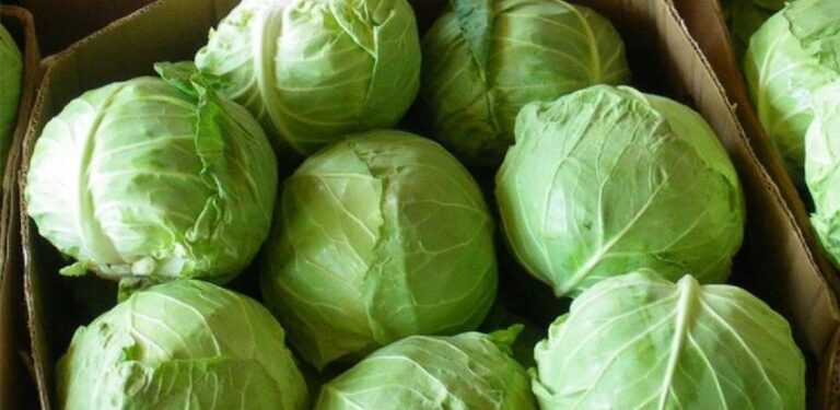 Dublji džep treba i za kupus