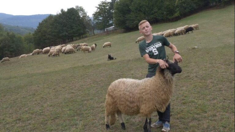 Ahmed iz Viteza: Više volim pogledati dobru ovcu nego da mi daju 100 KM