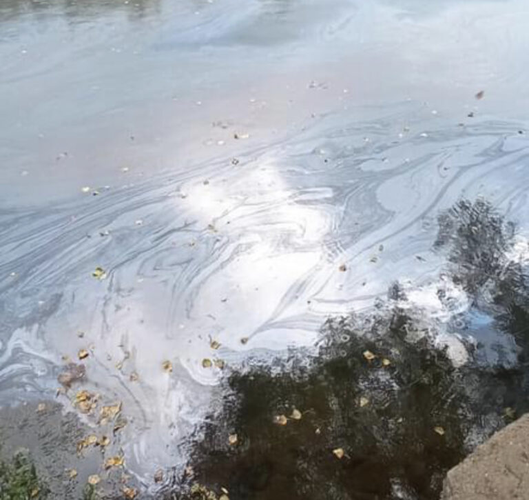 Nakon zaprimljene dojave o incidentnom zagađenju rijeke Bosne Zenici, Federalna vodna inspekcija upućena na teren
