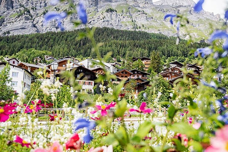 Selo u Švicarskoj nudi 50 hiljada eura za doseljenje uz dva uslova