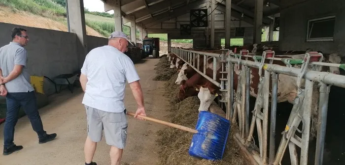 Bosanska farma od milion maraka – krave s nanogicama, domaćin u papučama