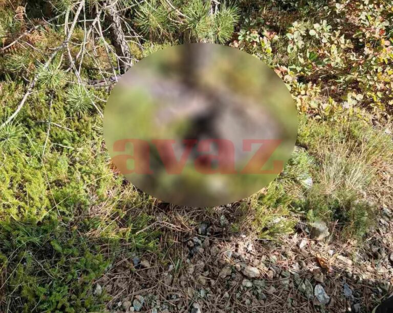 Da li pronađeni leš pripada nestalom Hamidu Ferhatoviću