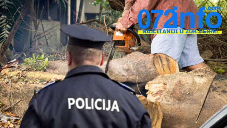 Maglaj: Muškarac uhapšen zbog sječe 1,97 metara drva