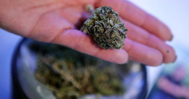 Proizvodi na bazi kanabisa u BiH: Šta je zabranjeno, šta kaže zakon