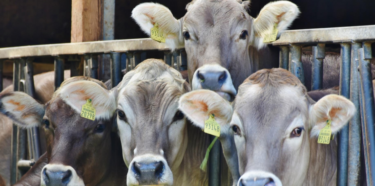 Farmeri pojasnili: Za 1 KM poticaja, uplatimo 3,5 KM u budžet
