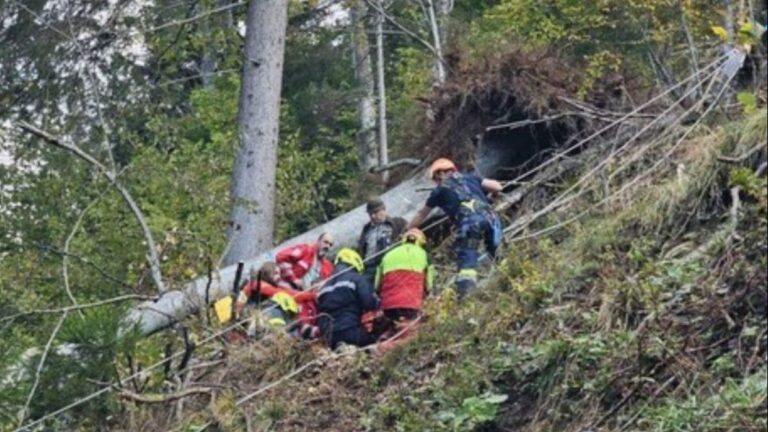 Radnik (24) iz BiH teško povrijeđen tokom sječe šume