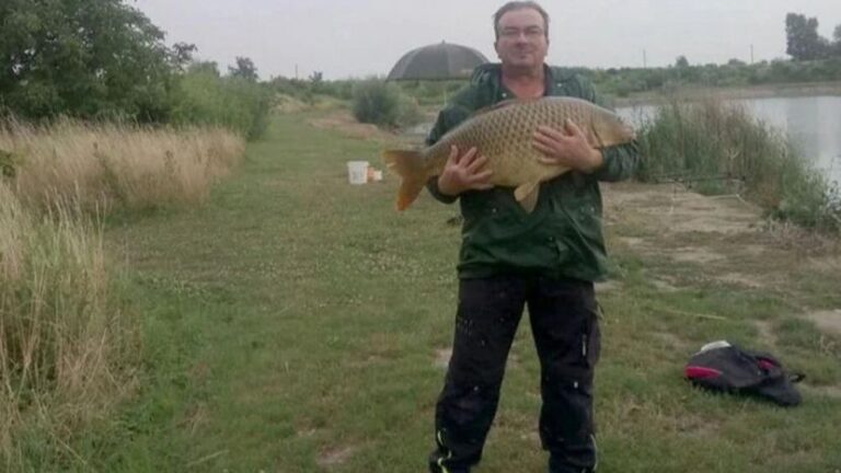 Bivša supruga, kćerka i sin ubili muškarca: Isjekli ga električnim cirkularom i bacili dijelove tijela po šumi